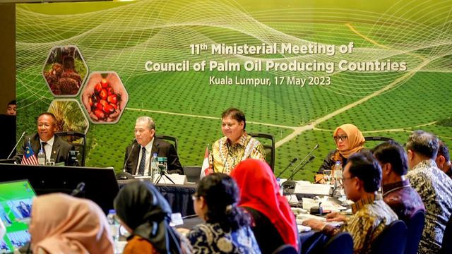 Menko Airlangga Hartarto: Petani Kecil Tulang Punggung Industri Kelapa Sawit RI