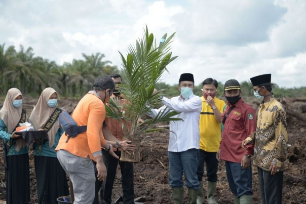 22 Gubernur se-Indonesia Masuk Nominasi Sawit Indonesia Award 2023, Syamsuar Jadi Salah Satu Kandidat Unggulan