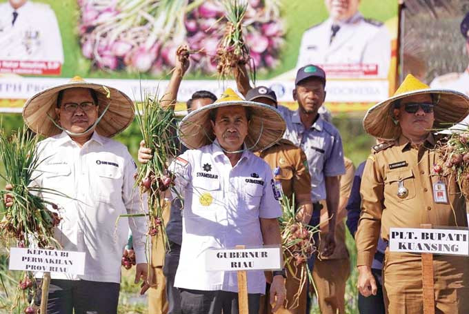 Gubri Syamsuar Panen Raya dan Serahkan Bantuan Mesin Pertanian kepada Warga Kuansing