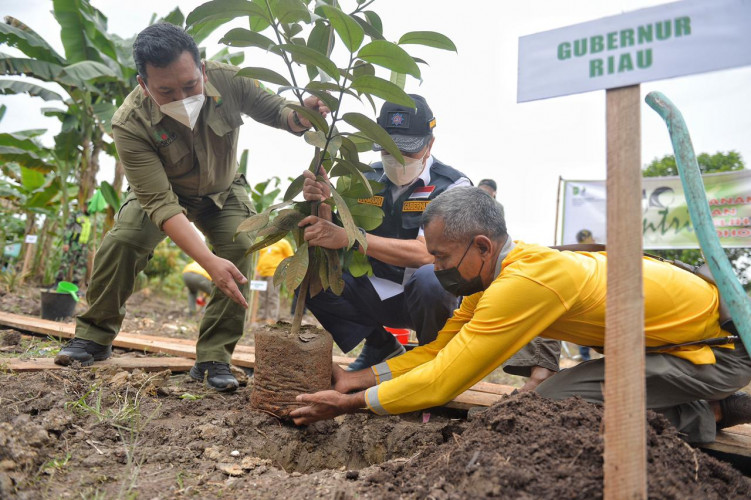 Gubri Syamsuar Gaungkan Santripreneur, Serahkan 10.000 Bibit Pohon dan Uang Pembinaan