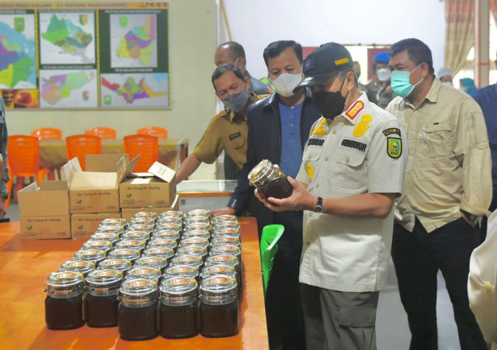 Gubri Syamsuar Puji Usaha Madu Kuansing