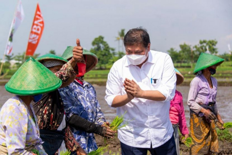 Hari Tani Nasional, Menko Airlangga Serukan Pangan Berdaulat dan Mandiri