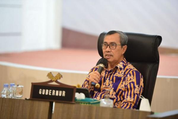 Terima Kunker Komisi IX DPR RI, Gubri Syamsuar Paparkan Upaya Pengendalian Covid-19 di Riau